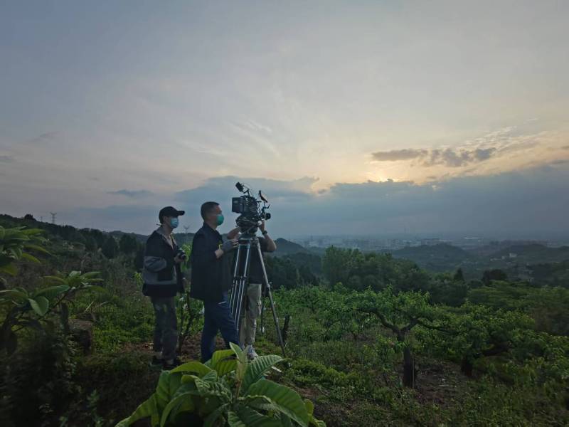 创意破圈！七星区电商产品宣传视频用故事化叙事引爆流量