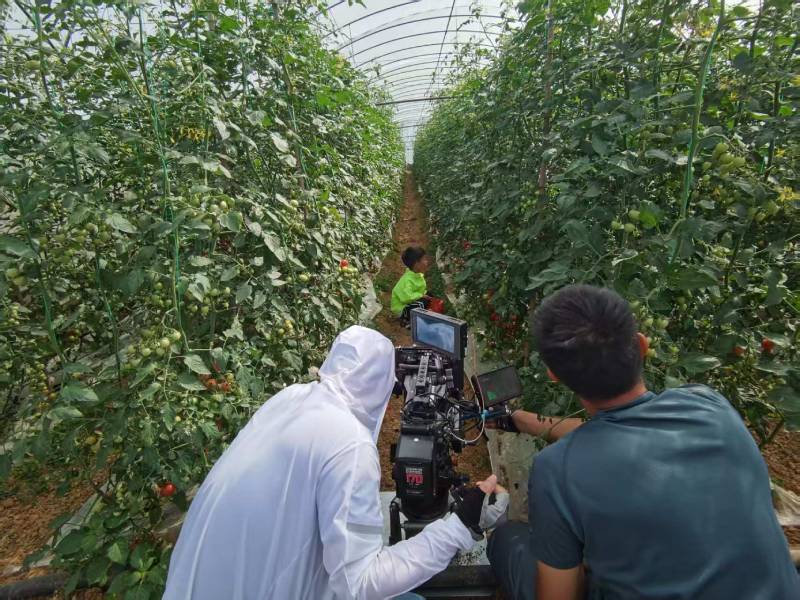 七星区产品宣传视频拍摄公司进阶指南，助力品牌抢占传播高地